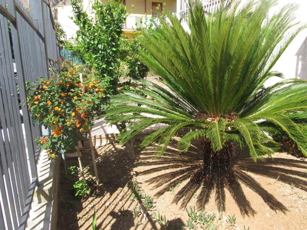 La Cycas Panzió Trabia Kültér fotó