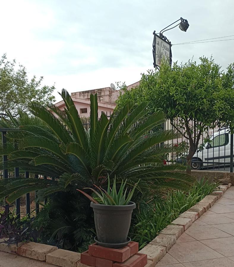 La Cycas Panzió Trabia Kültér fotó